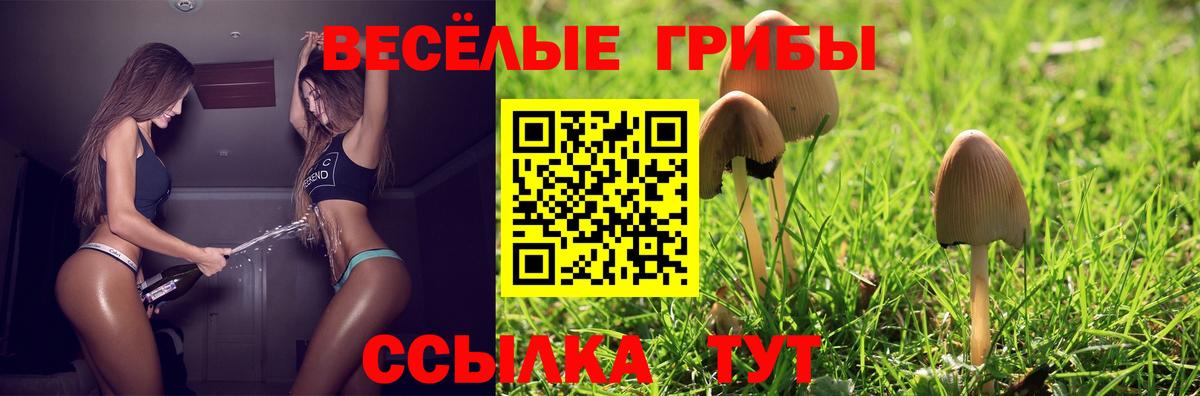 Псилоцибиновые грибы Psilocybine cubensis  Галлюциногенные грибы MAGIC MUSHROOMS  Вход с VPN  купить закладку  Ухта 